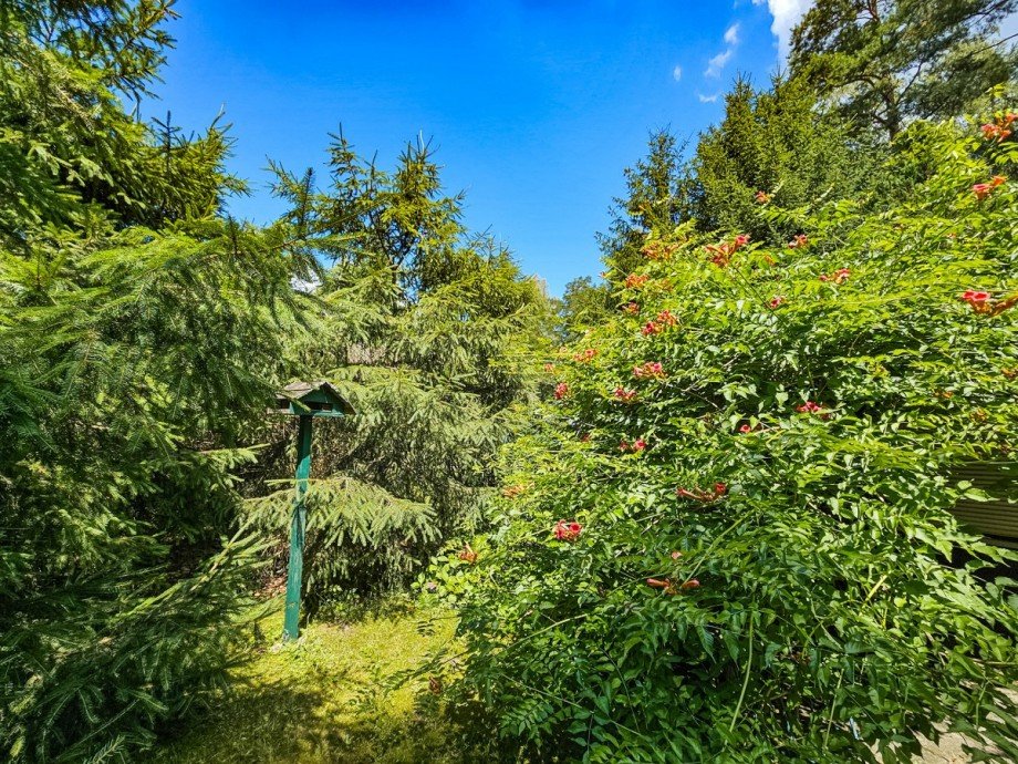 Grundst�ck Laube / Datsche / Gartenhaus Gohrisch