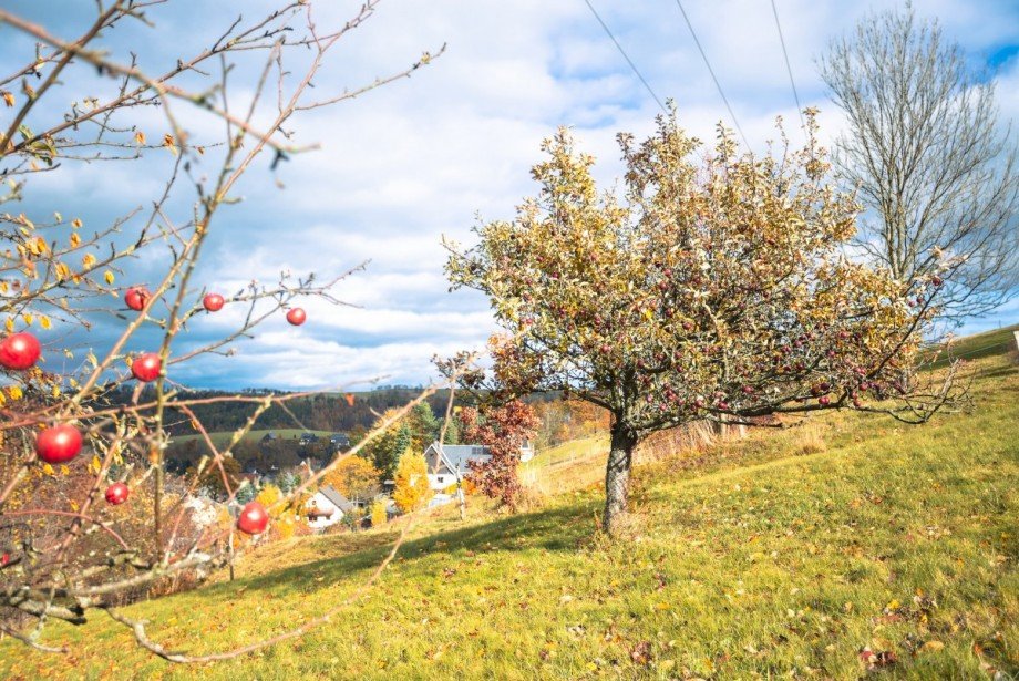 Gro�es Grundst�ck Bauernhaus Altenberg