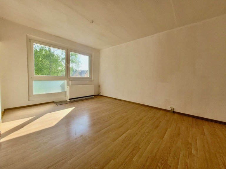 Blick ins Wohnzimmer D�rrr�hrsdorf-Dittersbach Etagenwohnung Freie, g�nstige 1-Raumwohnung mit Stellplatz