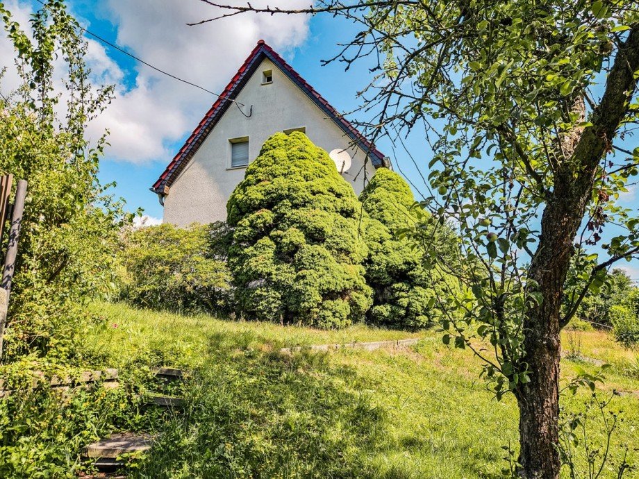 Garten Einfamilienhaus Bad Gottleuba-Berggie�h�bel