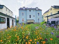 Bild (88673a4f15ddb8f1204c27aafdbd2bc7): Mehrfamilienhaus - Renovieren und lukrativ vermieten