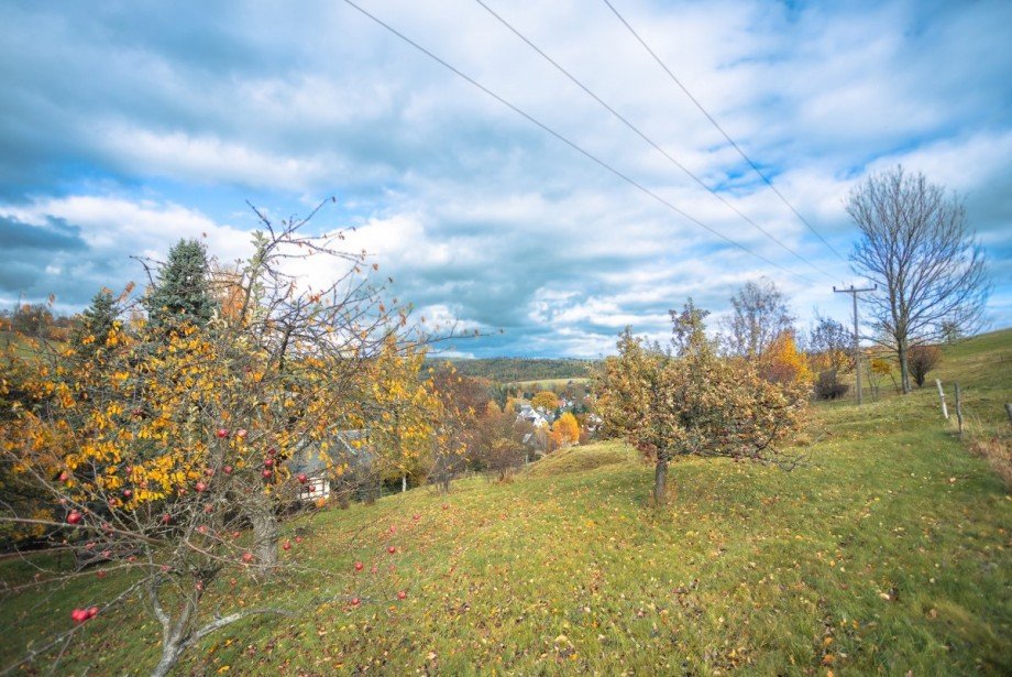 Gro�es Grundst�ck Bauernhaus Altenberg