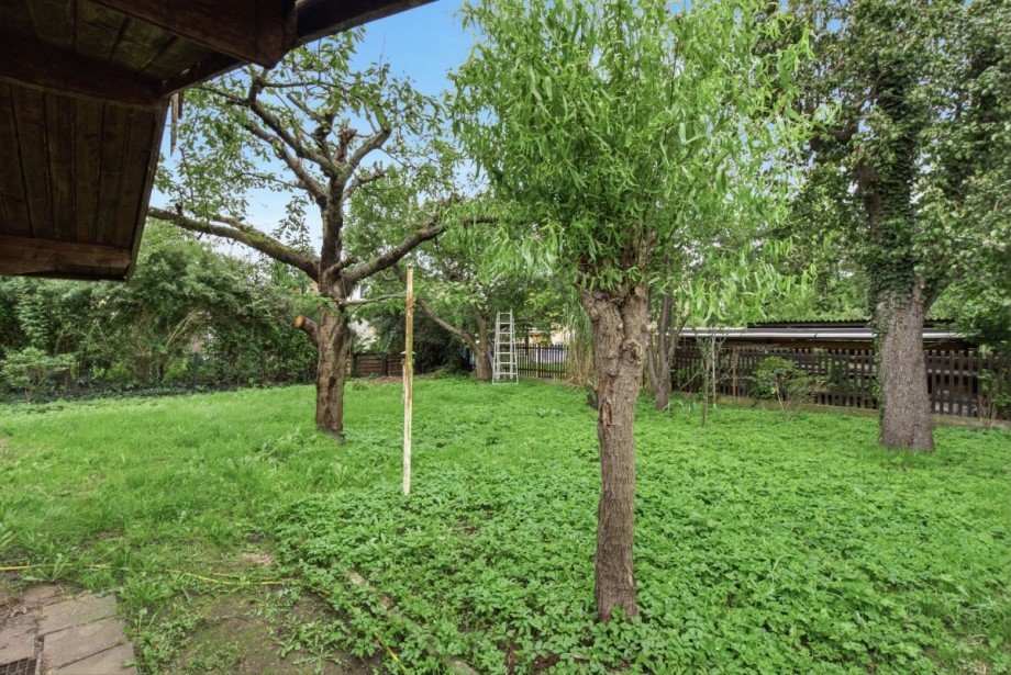 H�bscher Garten Einfamilienhaus Dresden