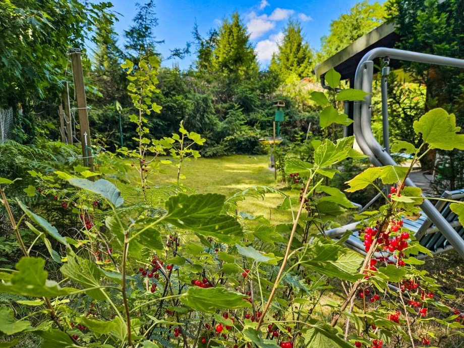 Garten Laube / Datsche / Gartenhaus Gohrisch