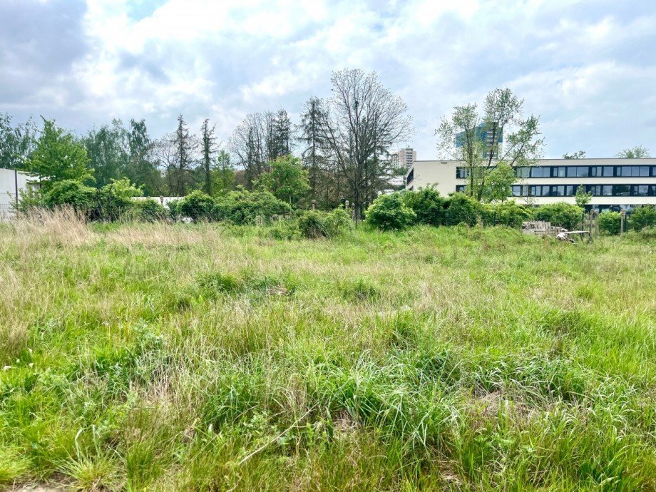 Foto 03.05.24, 11 30 21 Gewerbegrundst�ck Pirna