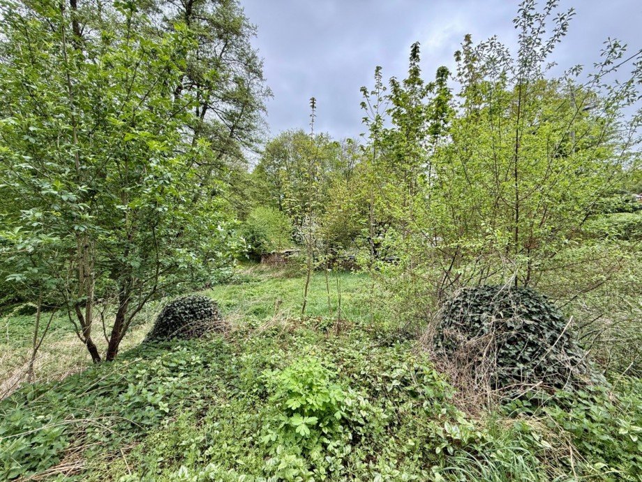 Grundst�ck mit Potential Einfamilienhaus Struppen